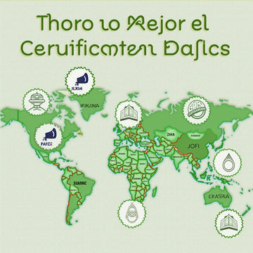 Major Halal Certification Bodies Worldwide